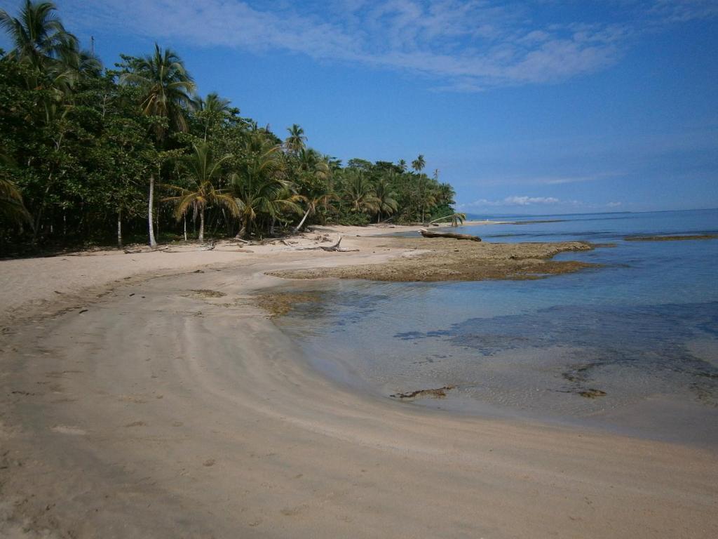 Sunrise Beach Hotel Puerto Viejo de Talamanca Экстерьер фото
