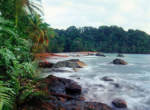 Sunrise Beach Hotel Puerto Viejo de Talamanca Экстерьер фото