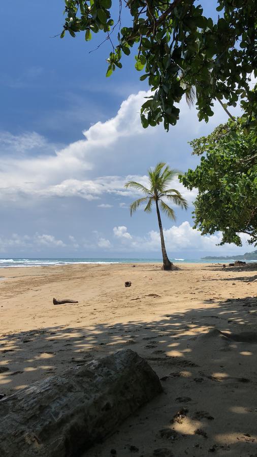 Sunrise Beach Hotel Puerto Viejo de Talamanca Экстерьер фото